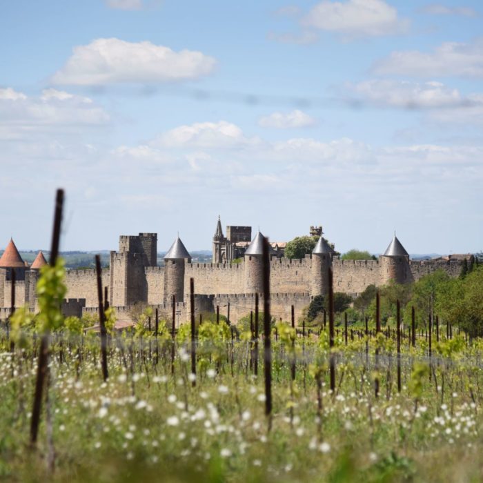carcassonne-cite-vignoble-vue
