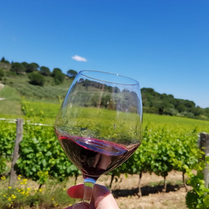 vin-oenotourisme-languedoc-carcassonne