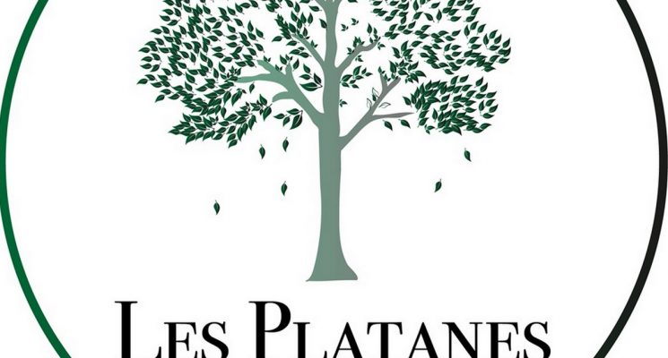Alzonne-Resto-Les-Platanes