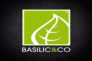 basilic and co carcassonne