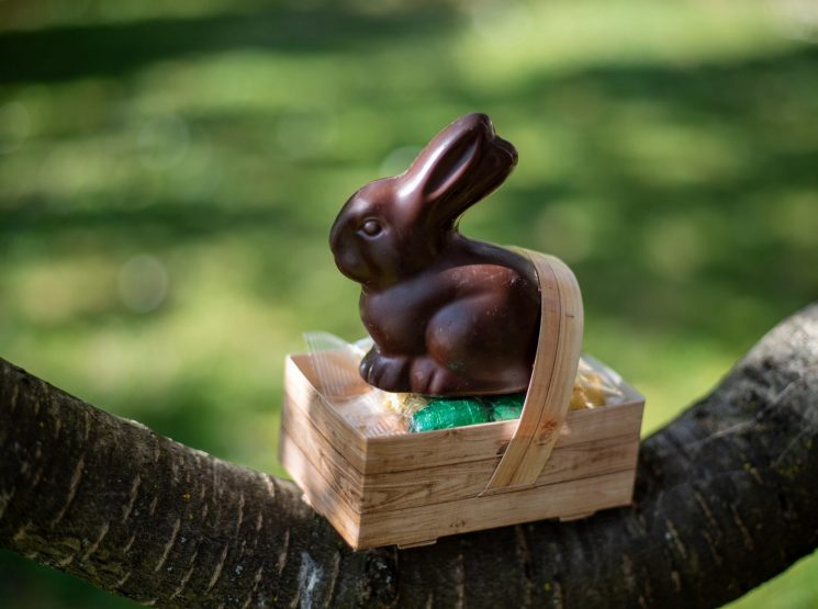 lapin chocolat paques – © Pat Photographies (pixabay)